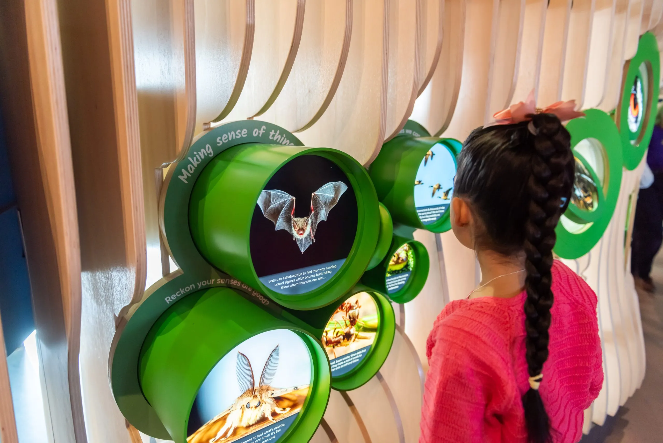 A child exploring an interactive exhibit at Eureka! museum